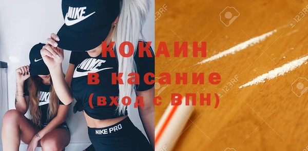 стафф Богданович