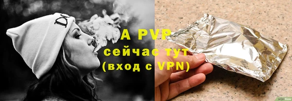 стафф Богданович