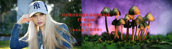 тгк Богородск