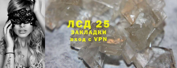 стафф Богданович