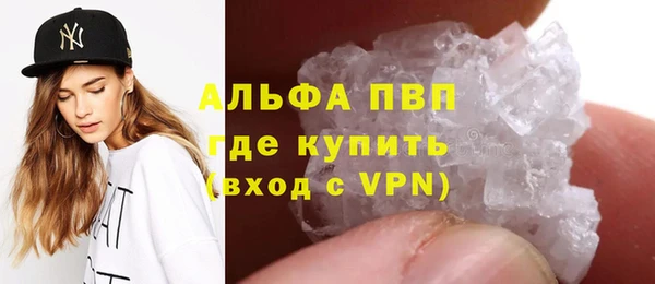 стафф Богданович
