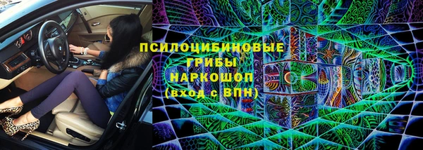 метадон Белокуриха